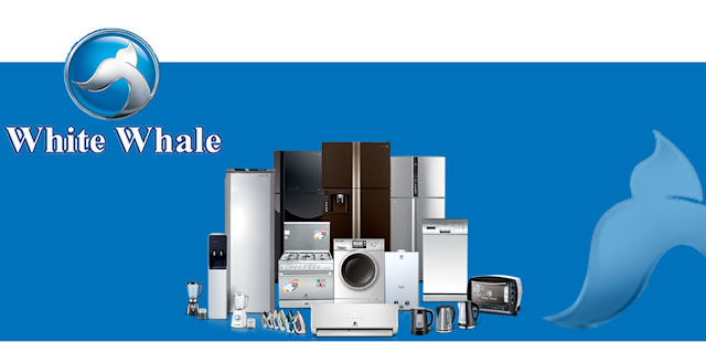 قففقثصفقصثفثقص